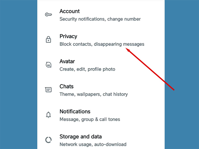How to Blue Tick Someone on WhatsApp
